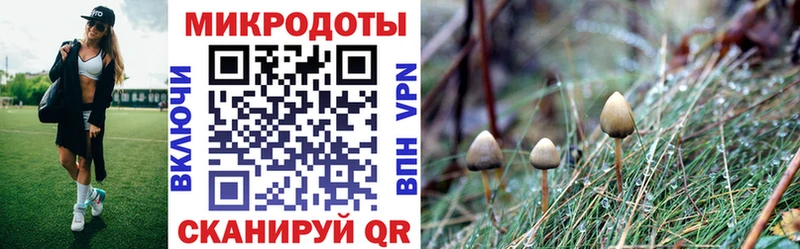 Псилоцибиновые грибы Psilocybe  даркнет сайт  Касимов 